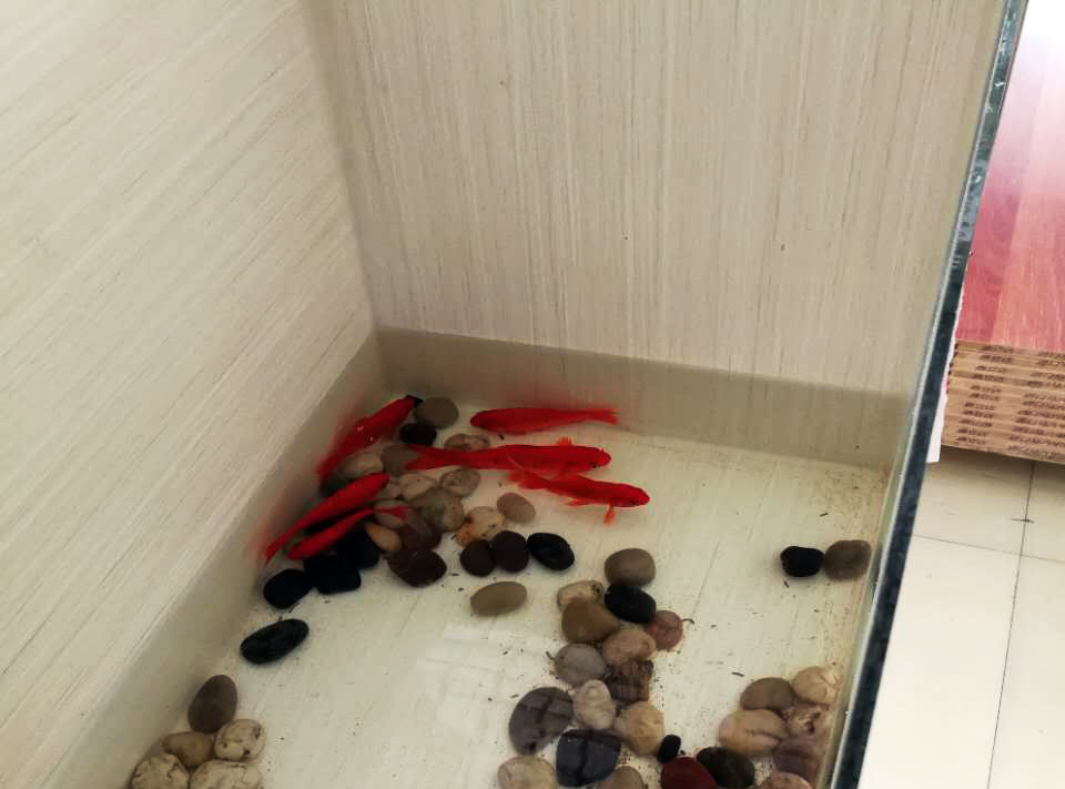 环保板材鱼缸 环保板材鱼缸
