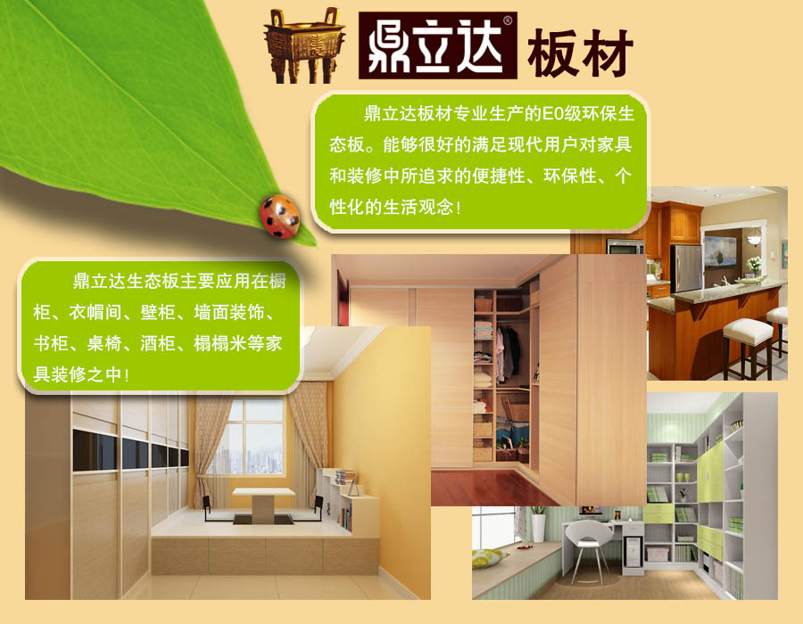鼎立达板材衣柜 鼎立达板材衣柜